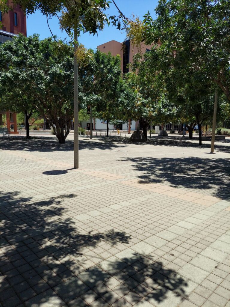 Trees and park view