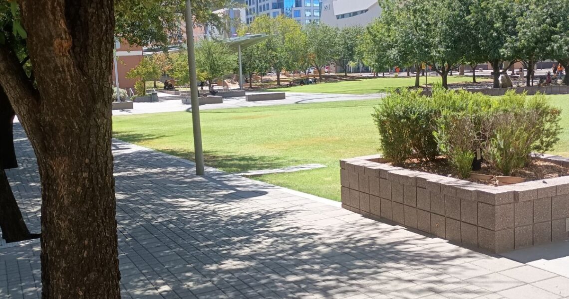 Civic space park with tree and grass